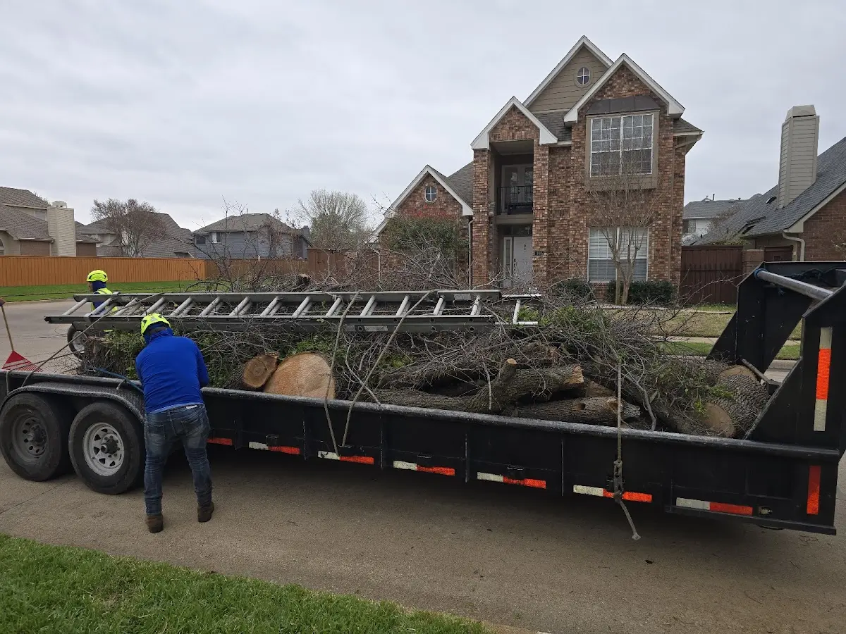 Expert Tree Removal with proper safety equipment in Warrenville